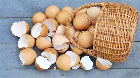 eggs in basket.jpeg