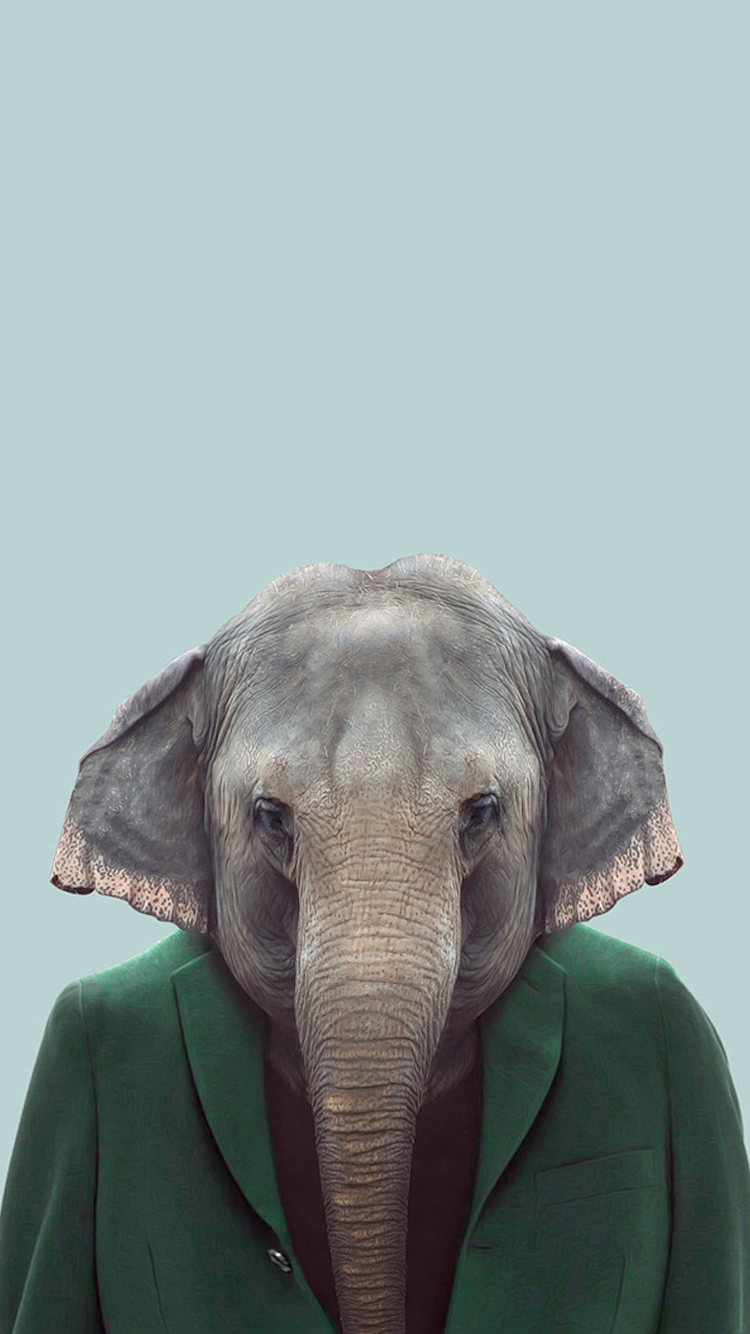 Elephant.png