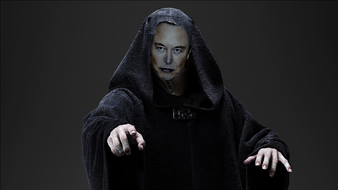 elon palp.jpg