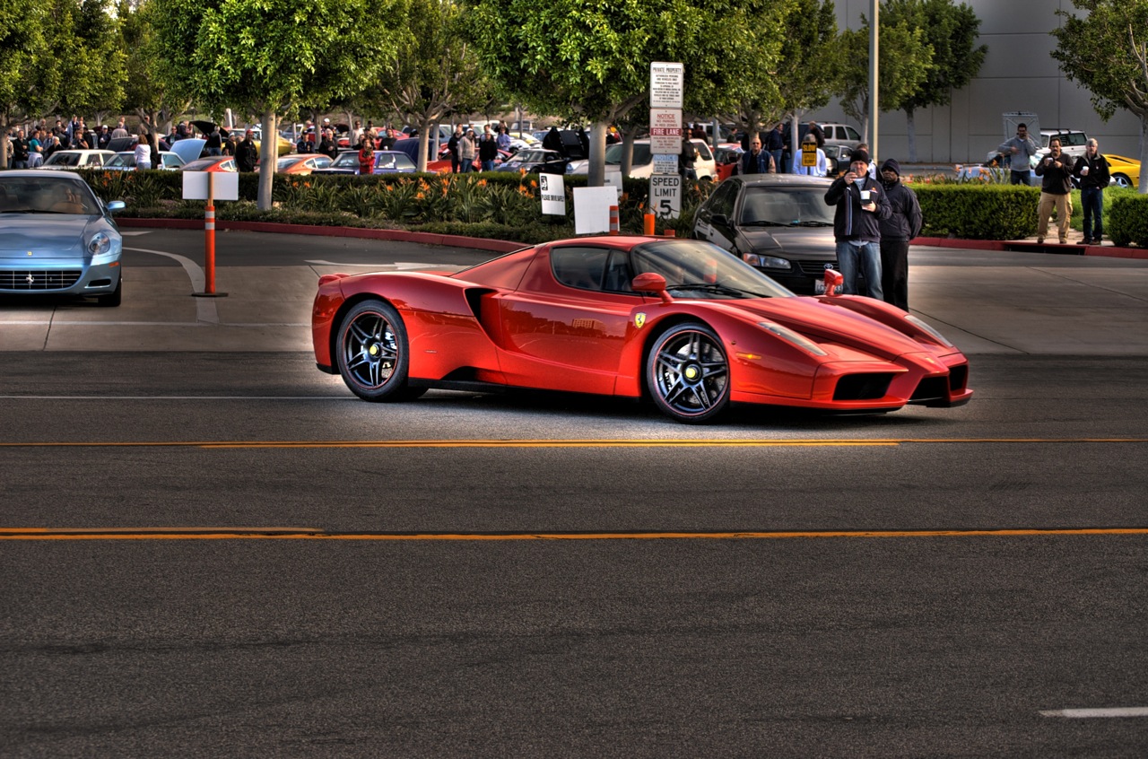 Enzo.jpg