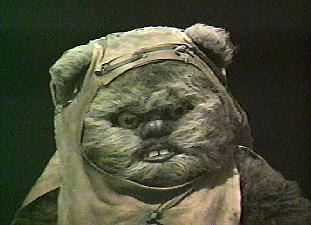 ewok.jpg