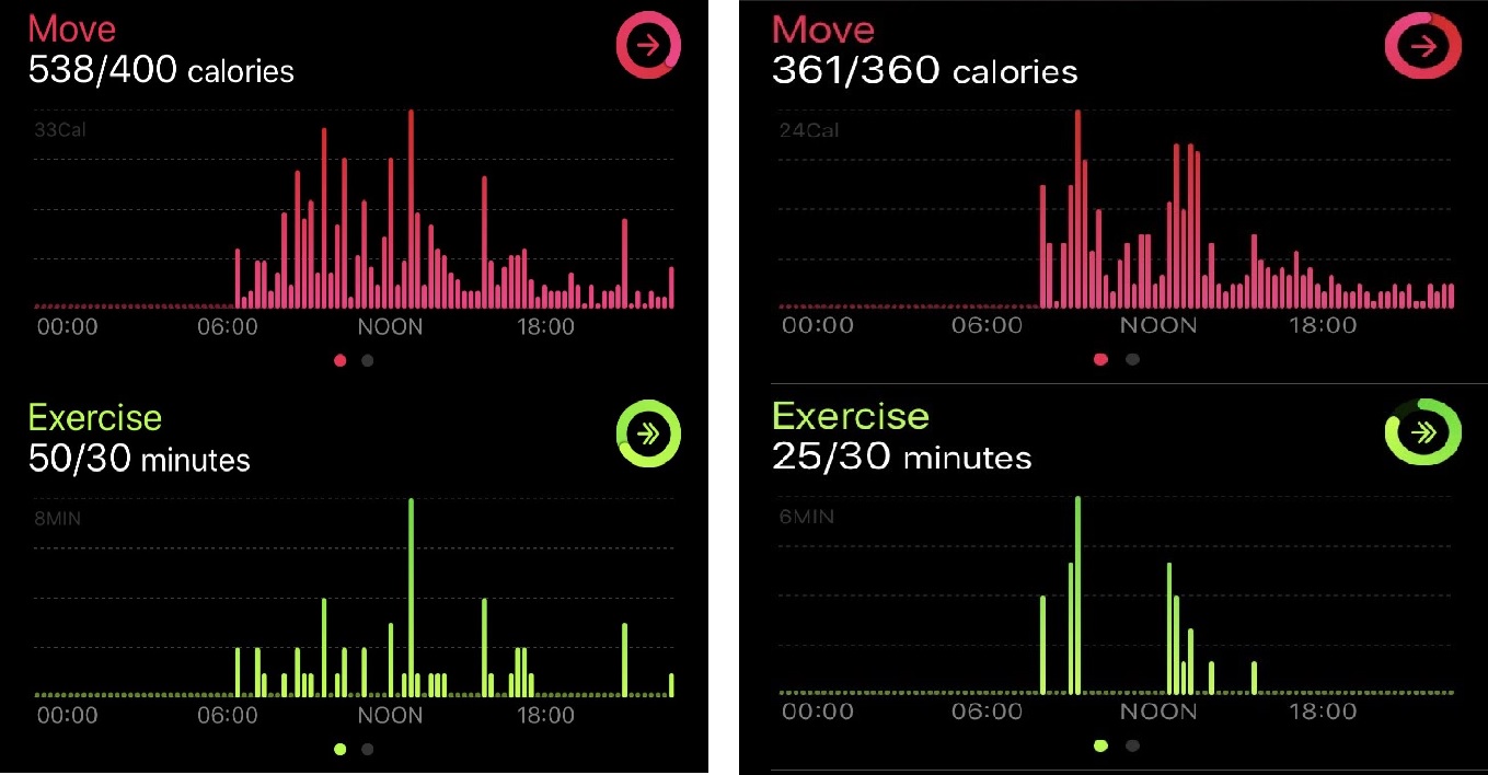 Exercise Ring.jpg