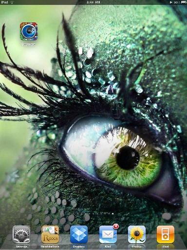 eye.JPG