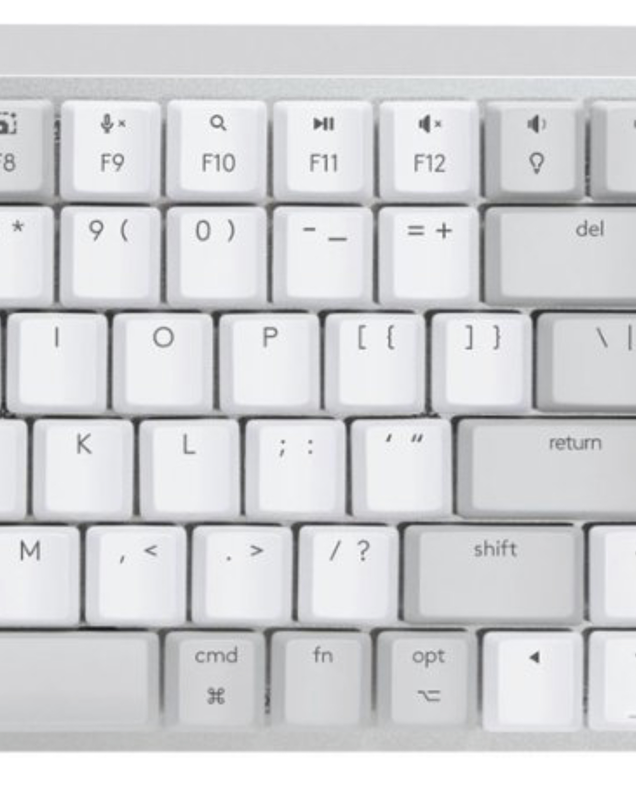 F7E88B49-C6A8-42D7-A3A7-F789E7E1EA25.jpeg