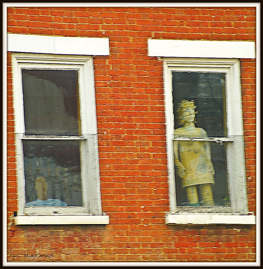 faceinthewindow.jpg