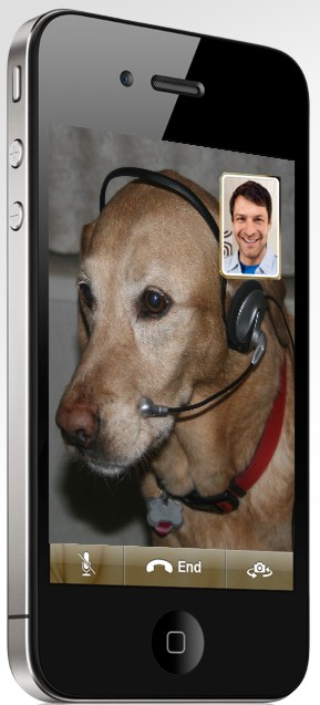 facetime for reals.jpg