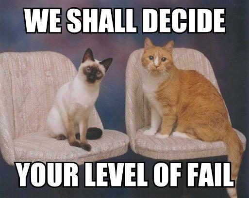 FAIL-Cats-We-shall-decide.jpg