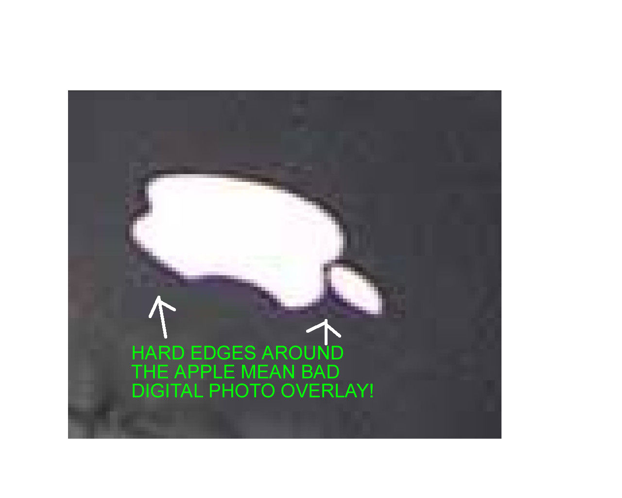 fake.jpg