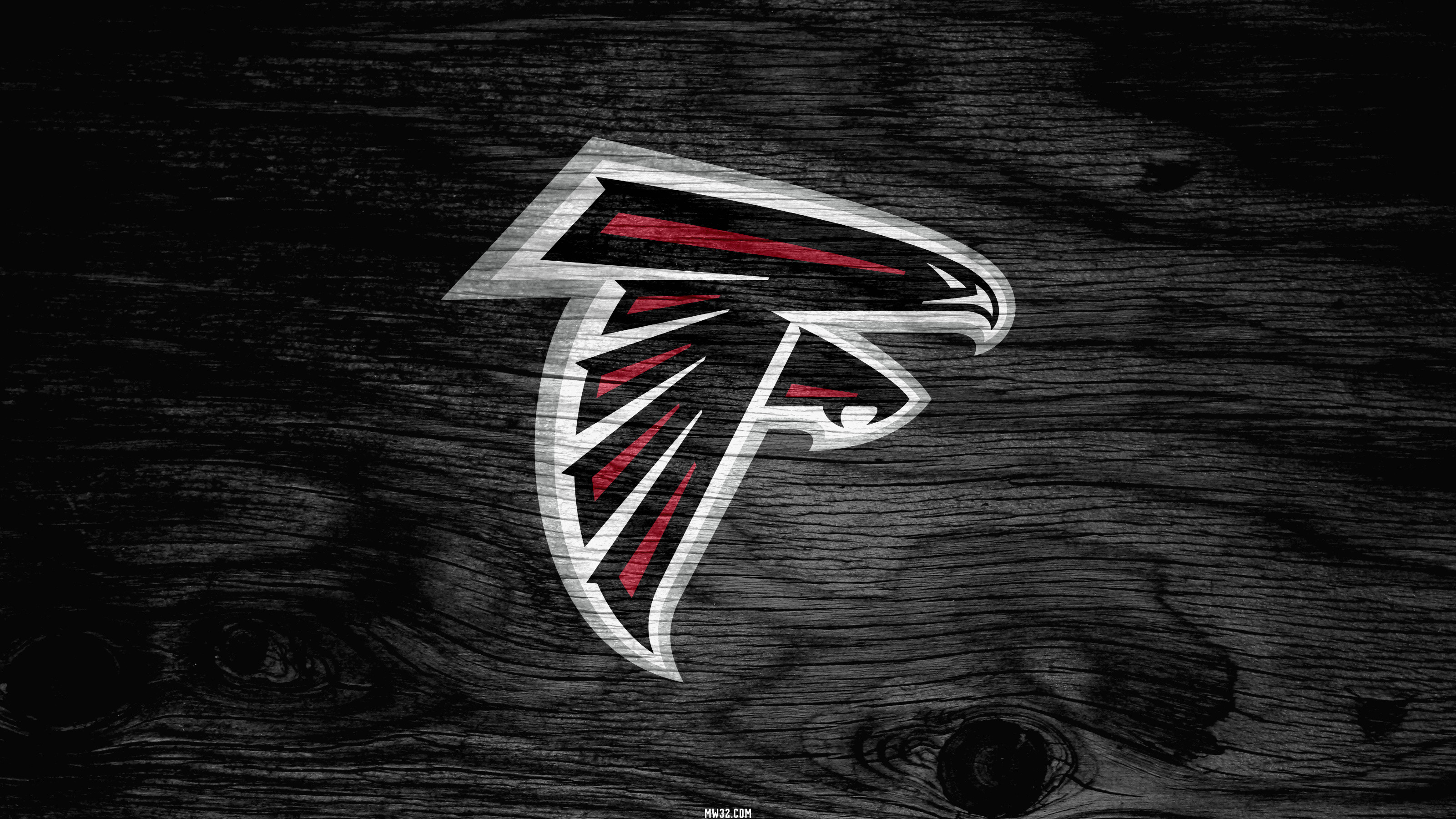 Falcons 3.jpg