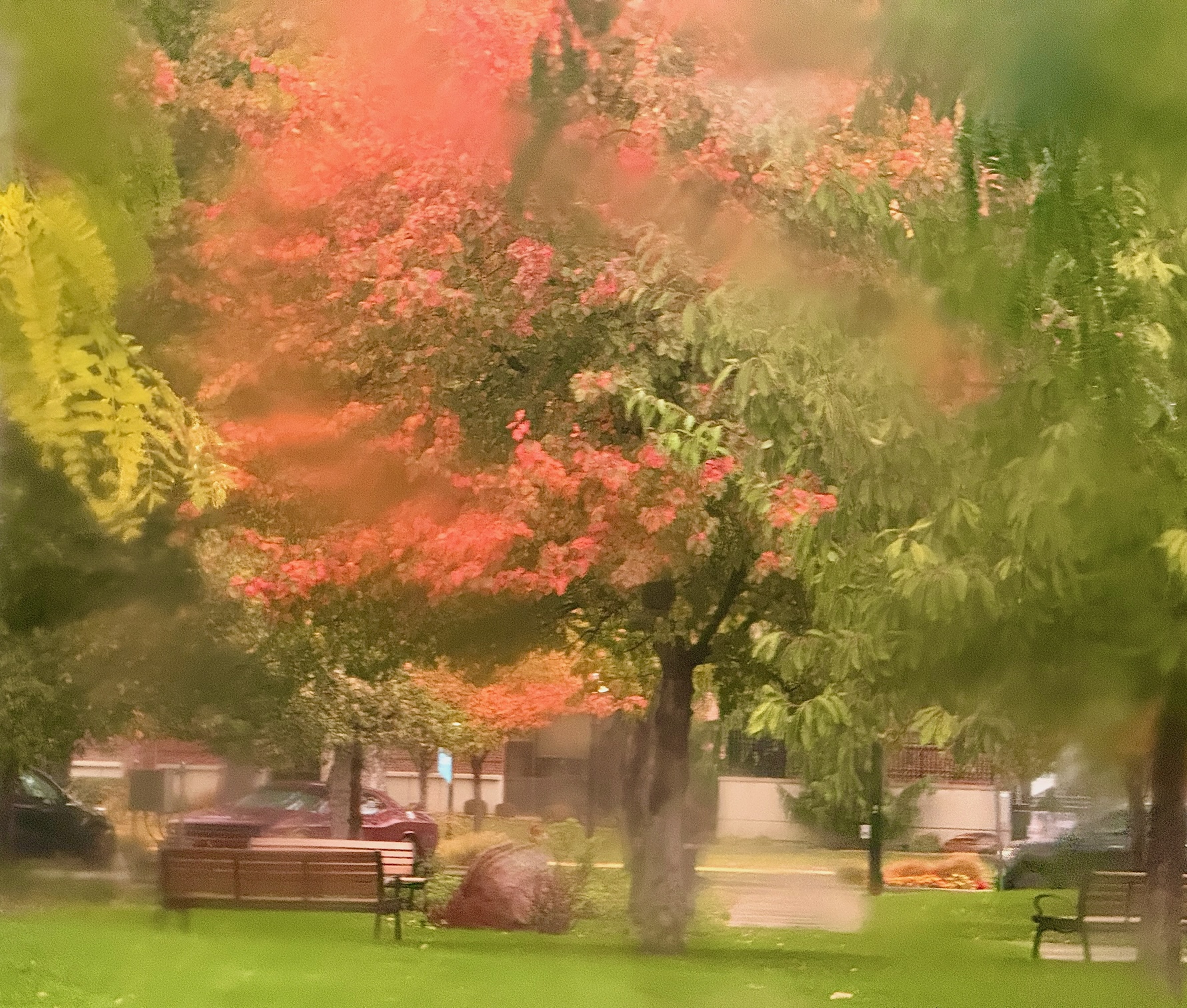 fallrain - 1.jpeg
