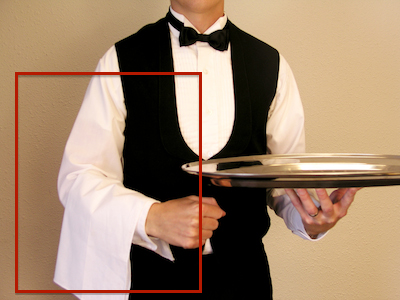 fancy-waiter.jpg