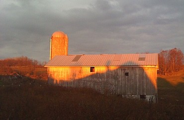 farm2.jpg
