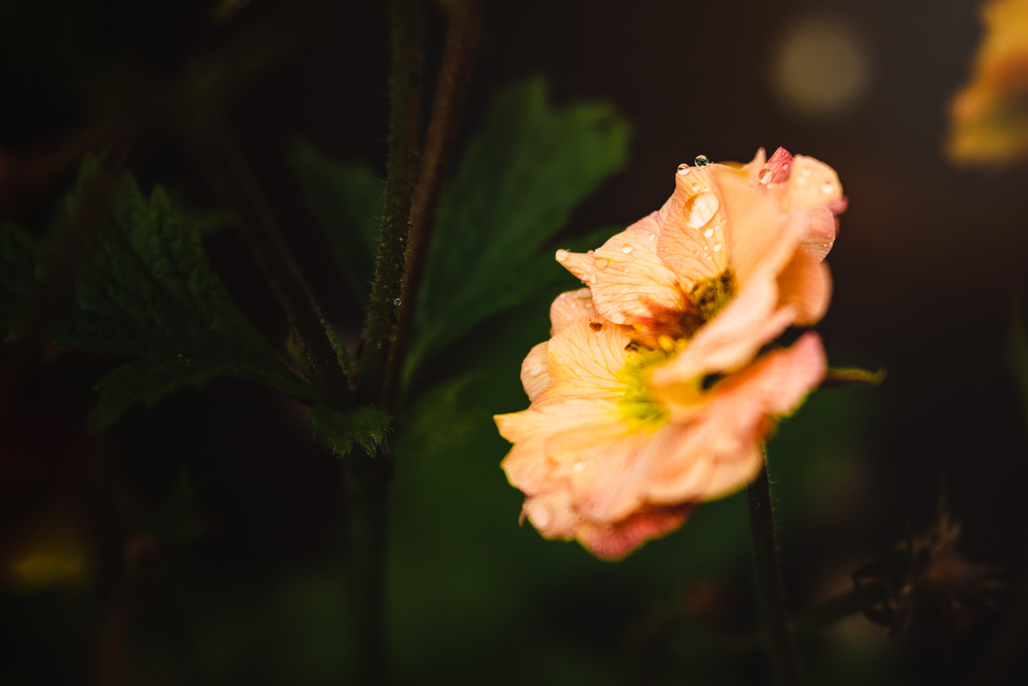 FB_May_02_2019_001.jpg
