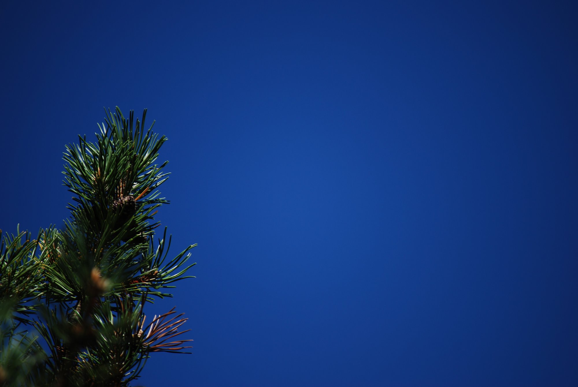FE0C87DB-A313-4751-9B71-DBA891B3470F.jpeg