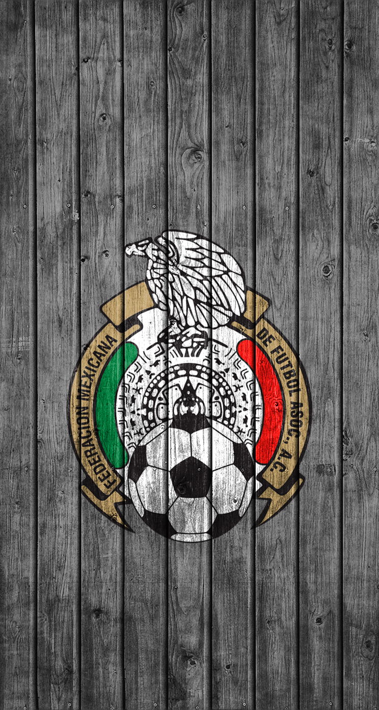 FedMexFut 01.jpg