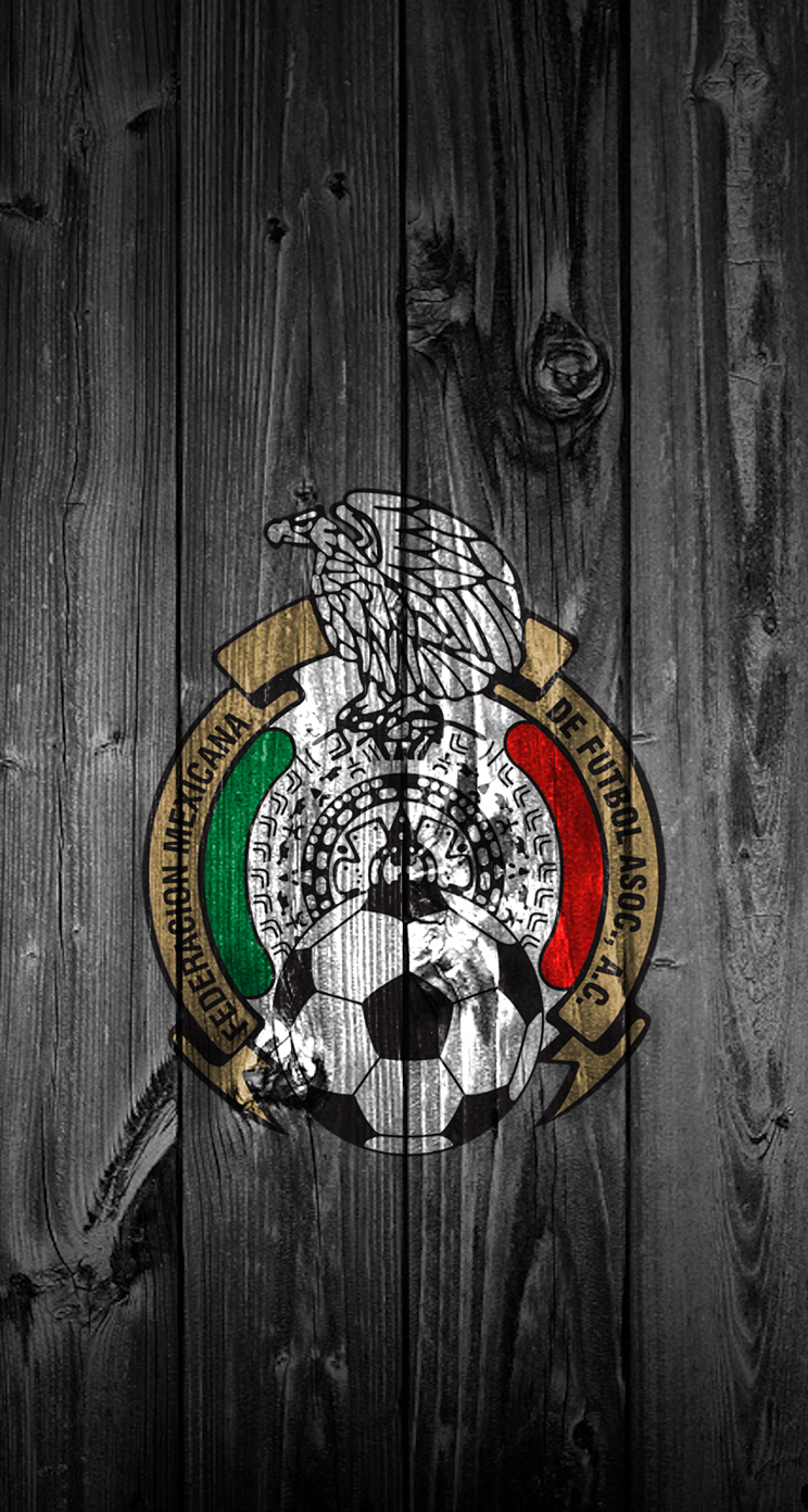FedMexFut 02.jpg