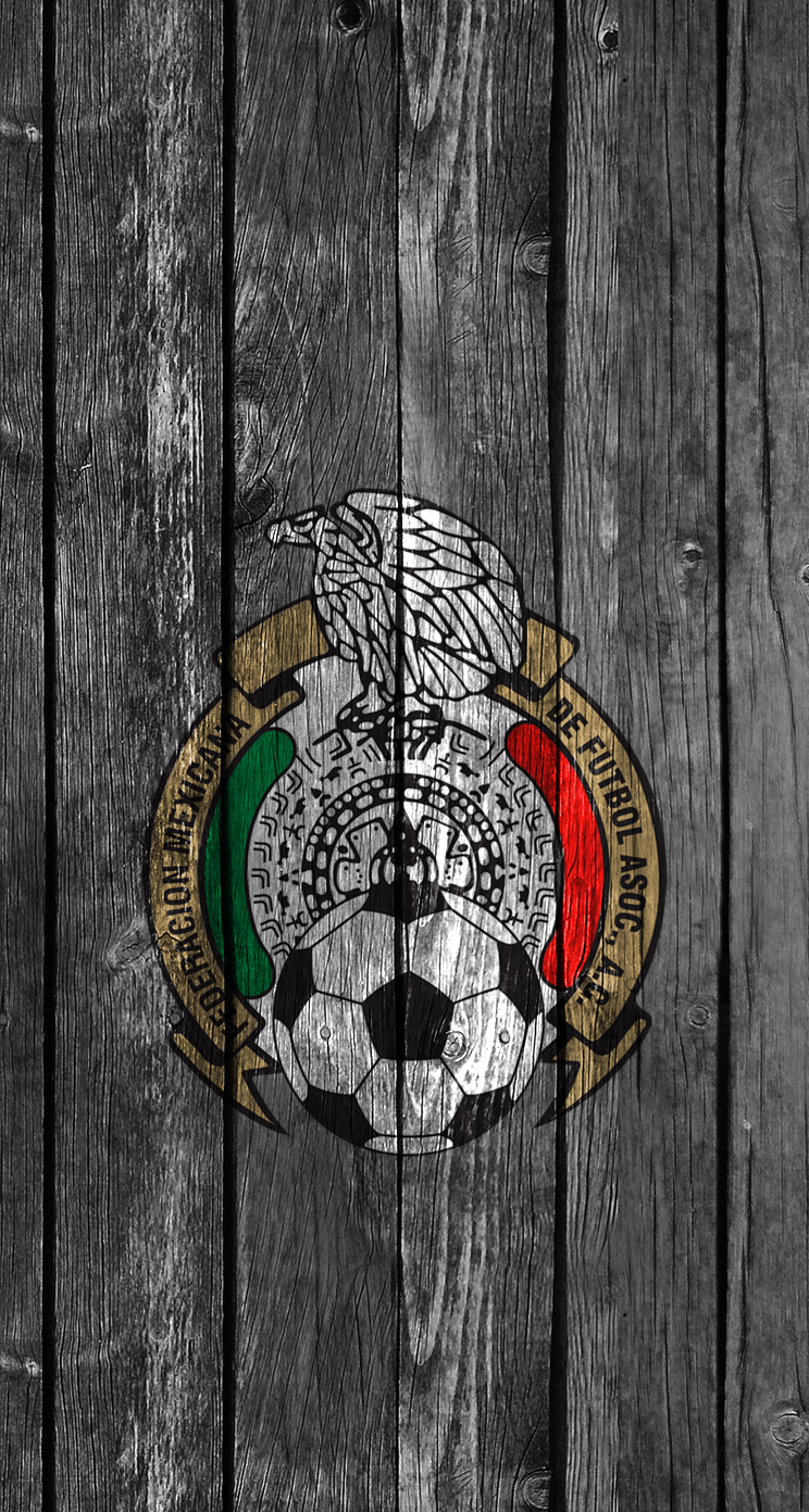 FedMexFut 03.jpg
