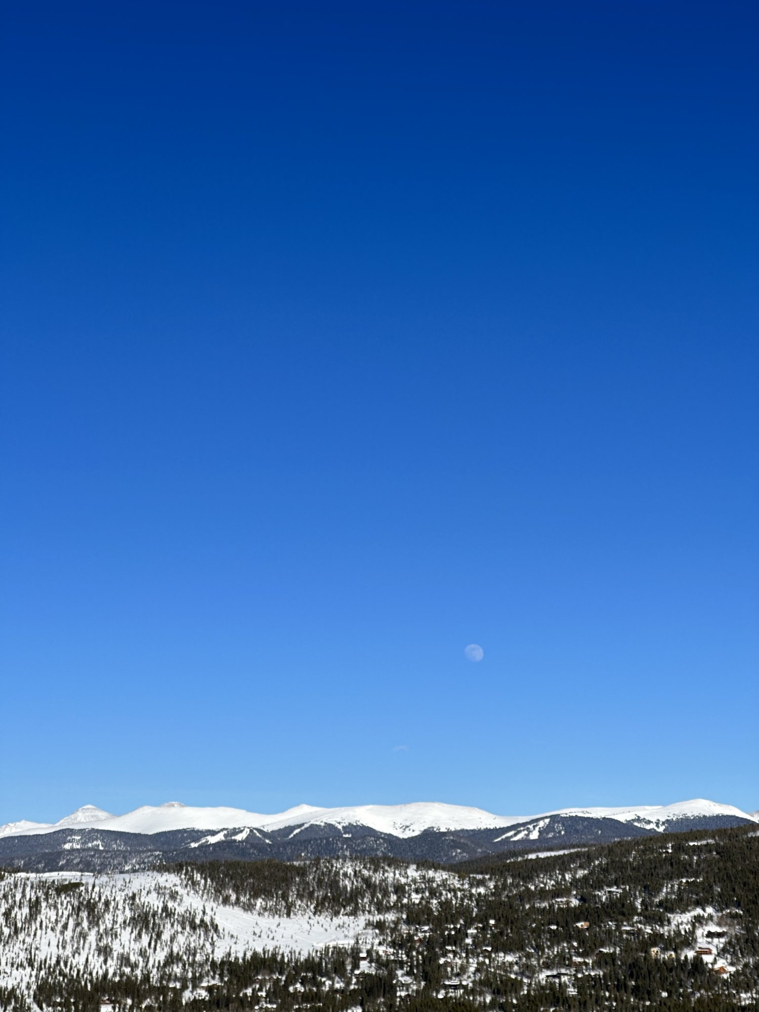 FF0492F8-FE80-42E5-8076-F83B62FF4DE1.jpeg