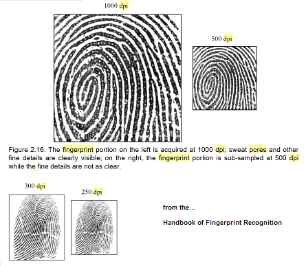 fingerprint_pores.png