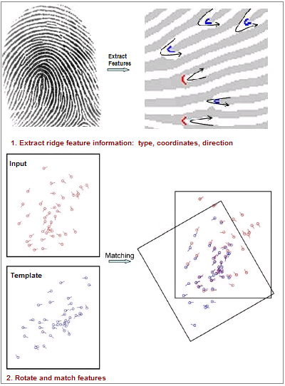 fingerprint_recognition.png