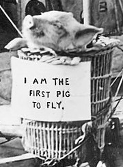 First_pig_to_fly,_1909._01_Crop.jpg