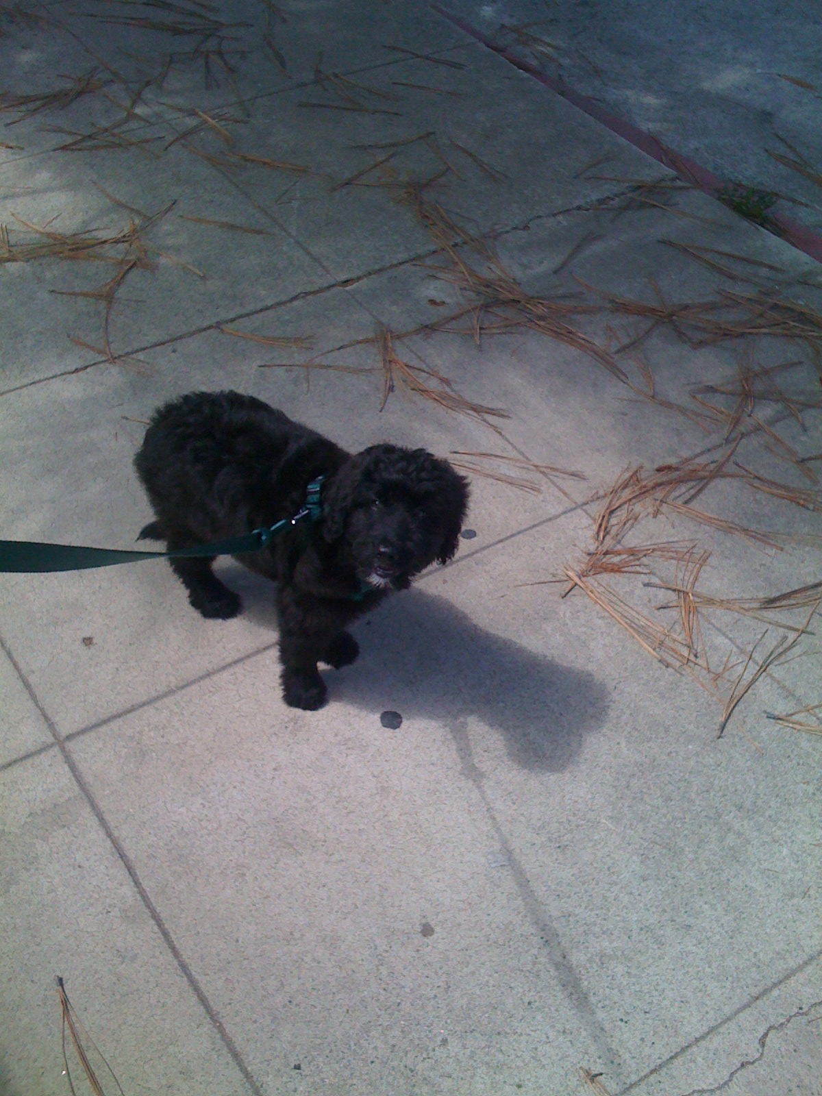 firstwalk.jpg