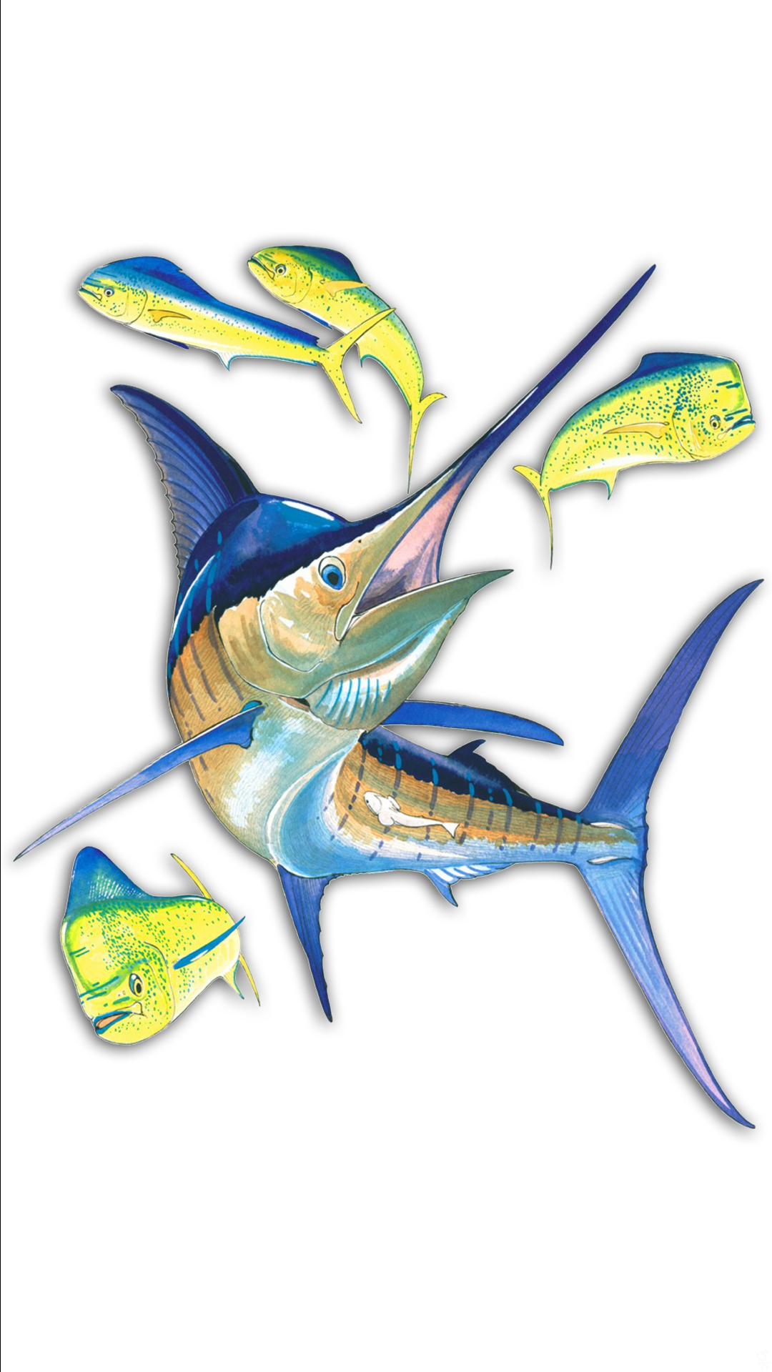 Fish 01.jpg