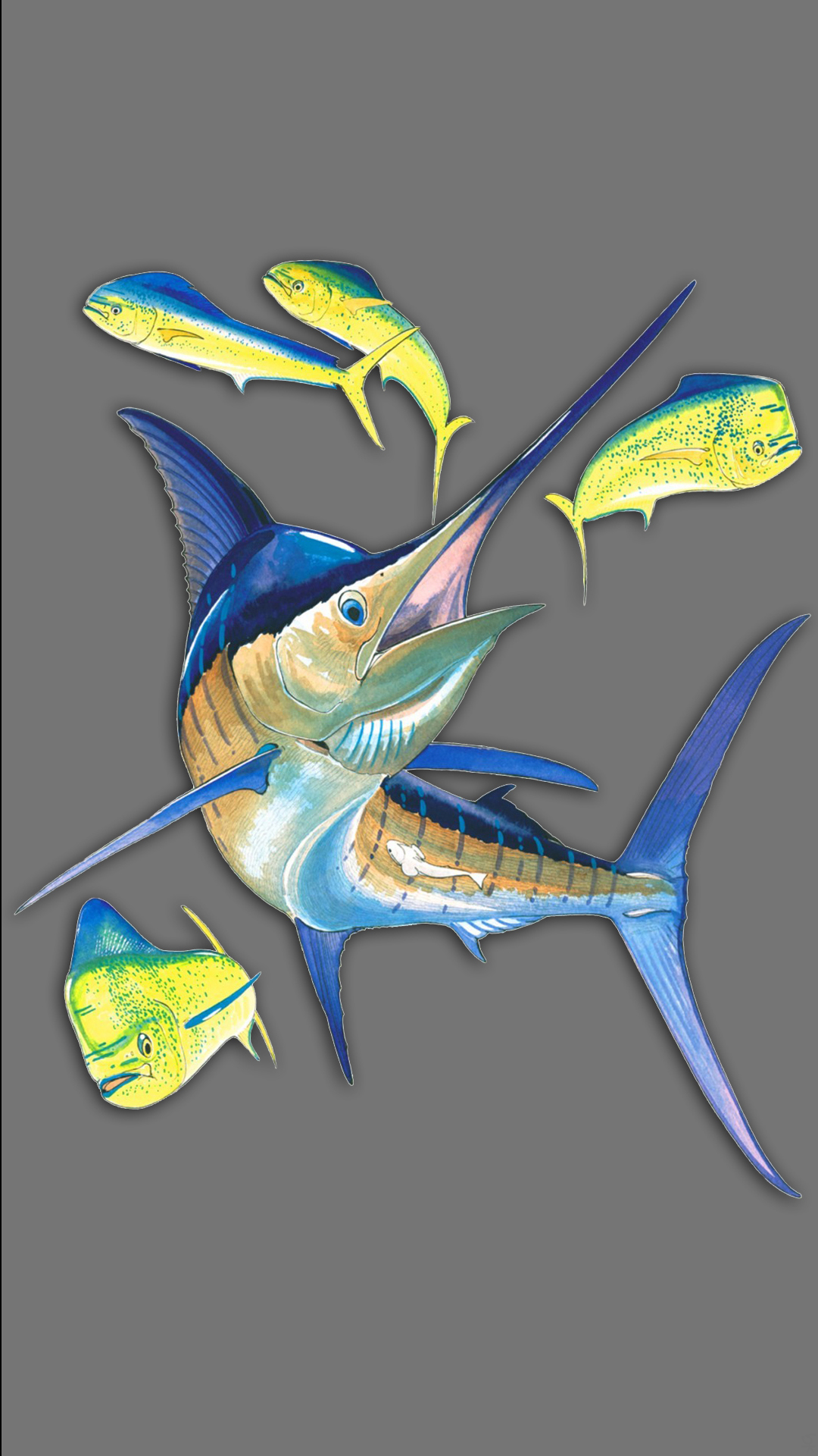 Fish 04.jpg