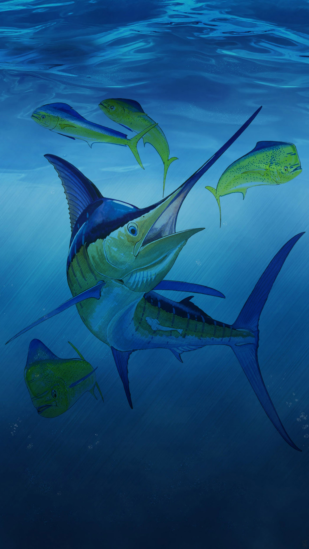 Fish 06.jpg