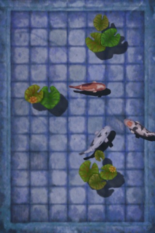 fish.jpg