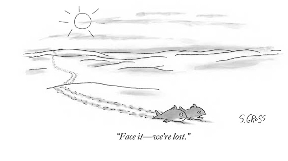 FishInTheDesertNewYorker2008Jan07.jpg