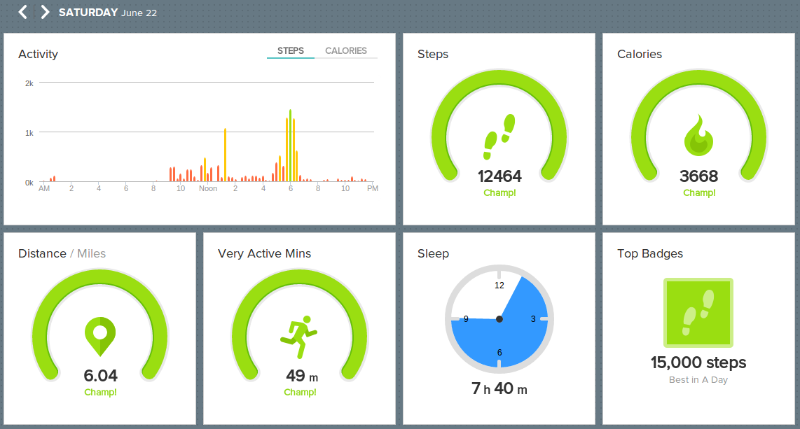 fitbit-dashboard.png