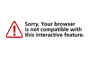 flash_default.gif