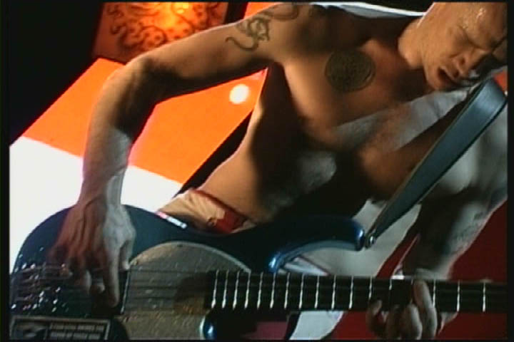 flea.jpg