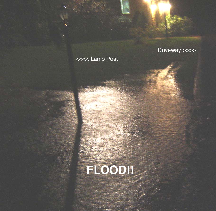 Flood copy.jpg