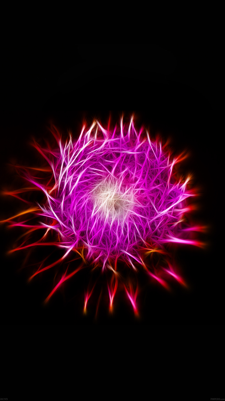 flower.jpg
