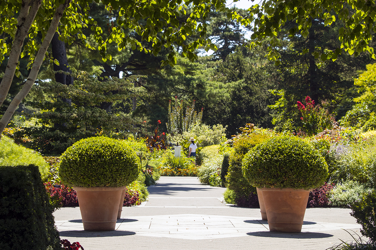 flowerpots21280.jpg