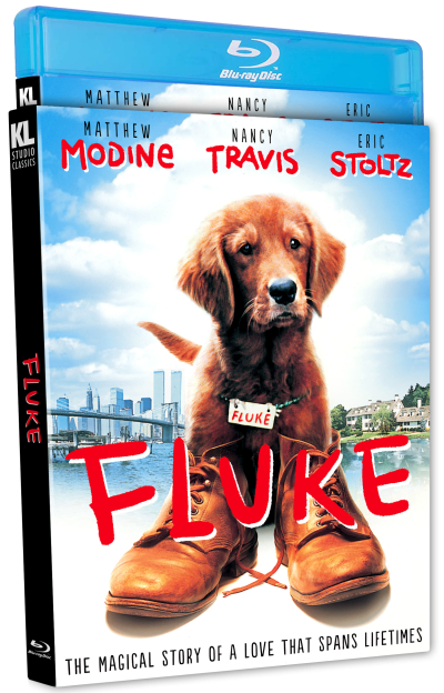 FLUKE_ocard_flat.webp