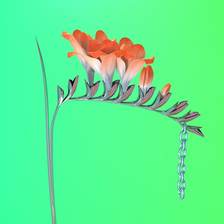 Flume6.jpg