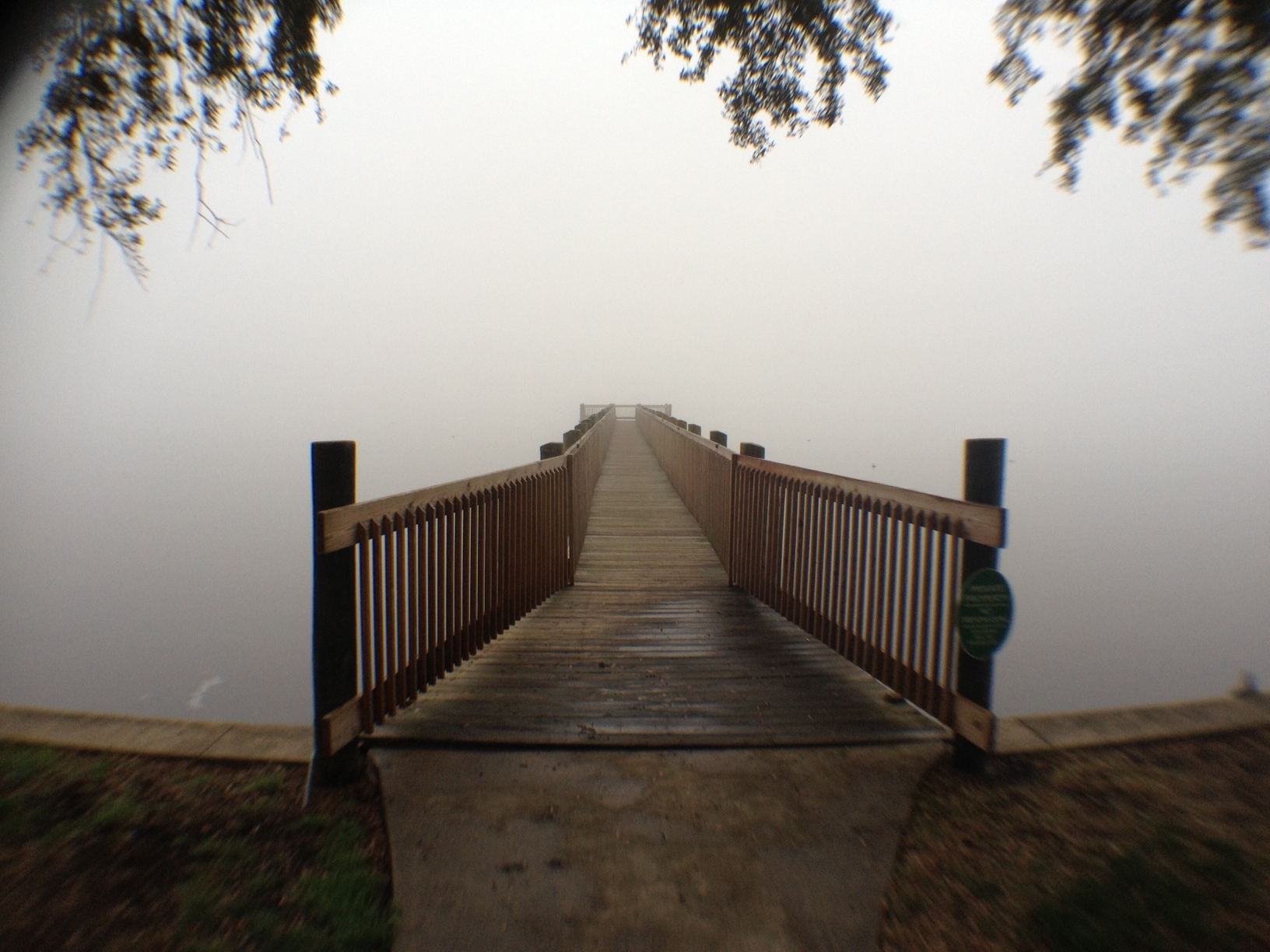 fog.JPG