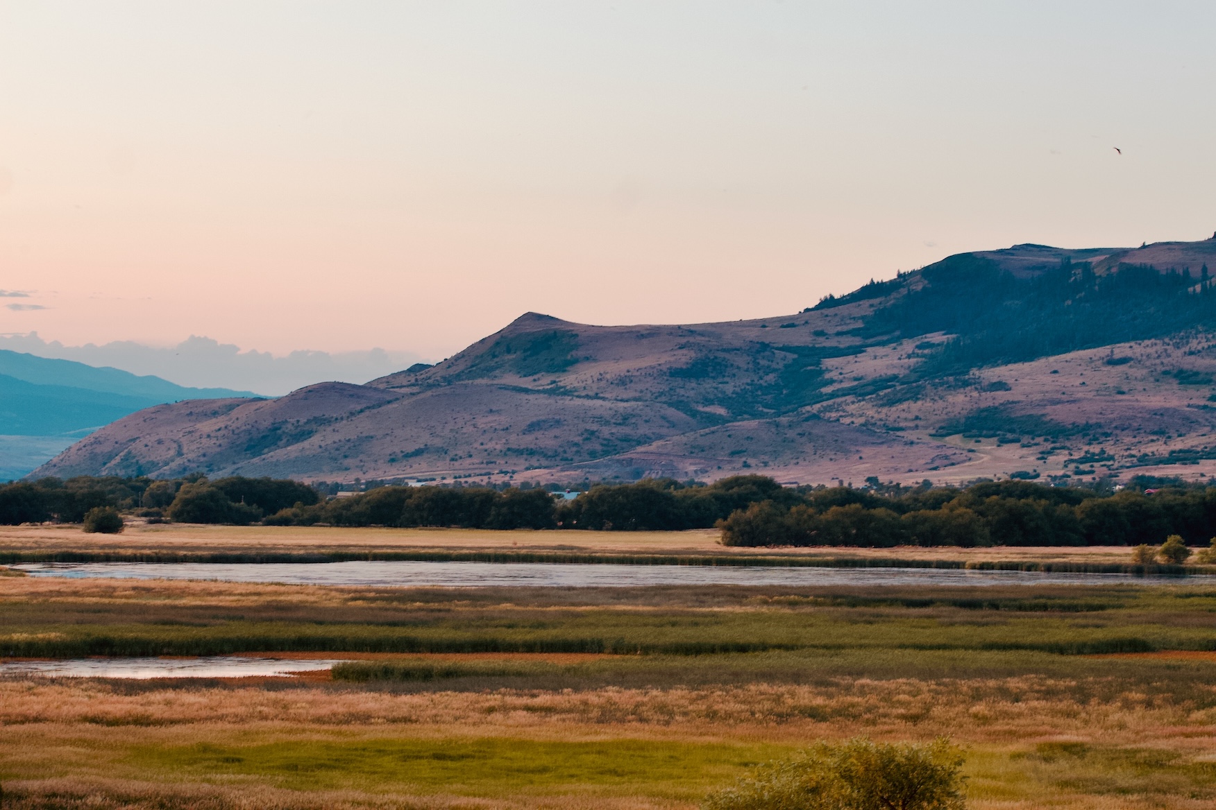 foothilldawn - 1.jpeg