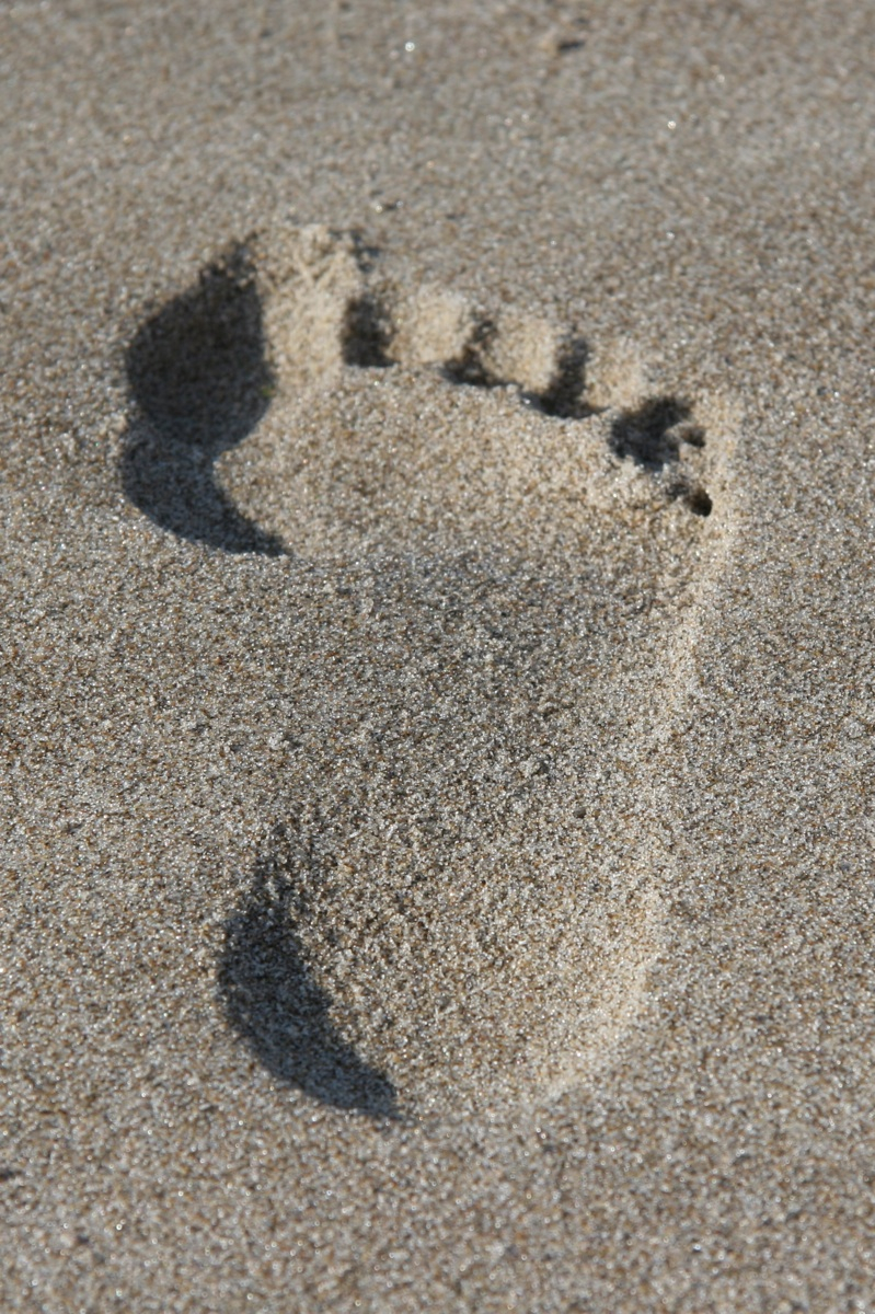 Footprint resized.jpg