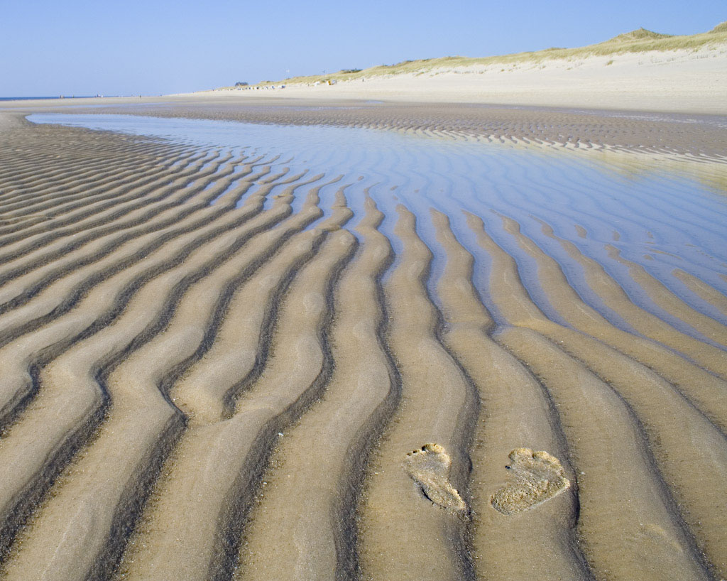 footprints.jpg