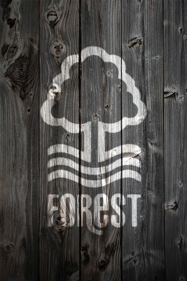 forest_wood.jpg