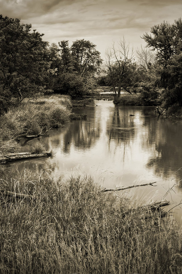 Forgotten_River_by_star_fire.jpg