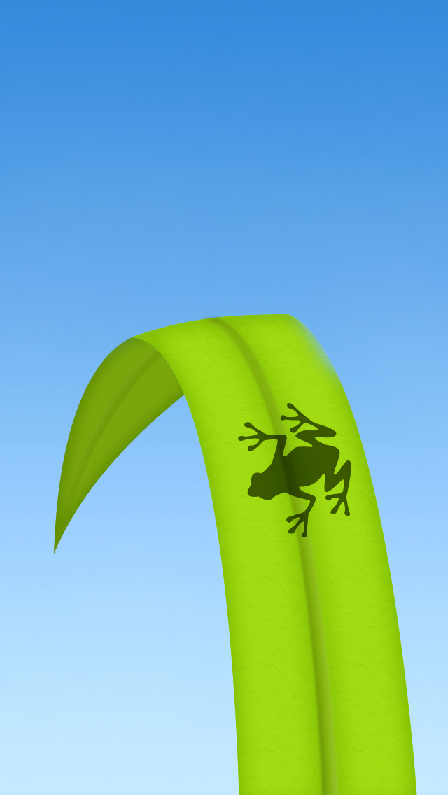 Frog2.jpg