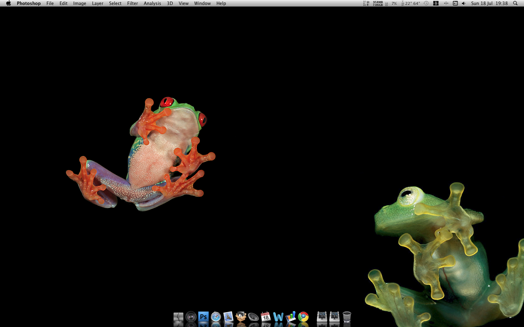 Frogs on the desktop.jpg