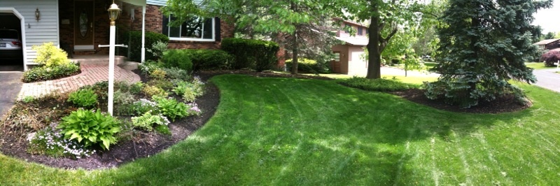 front yard.jpg
