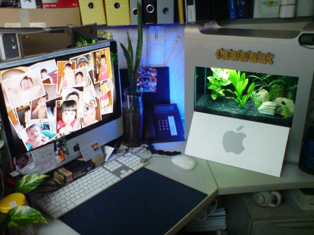 G5 FishTank 10.JPG