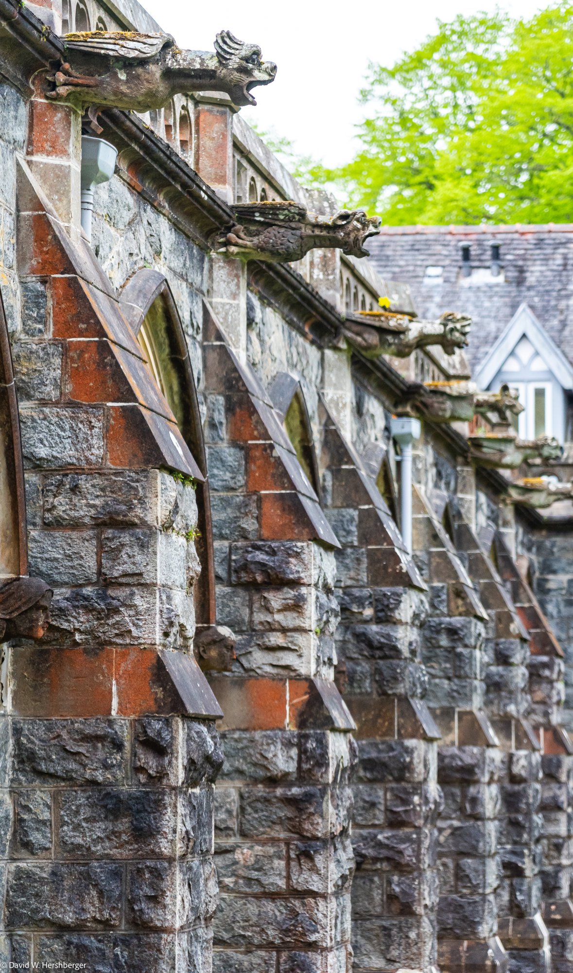 Gargoyles.jpg